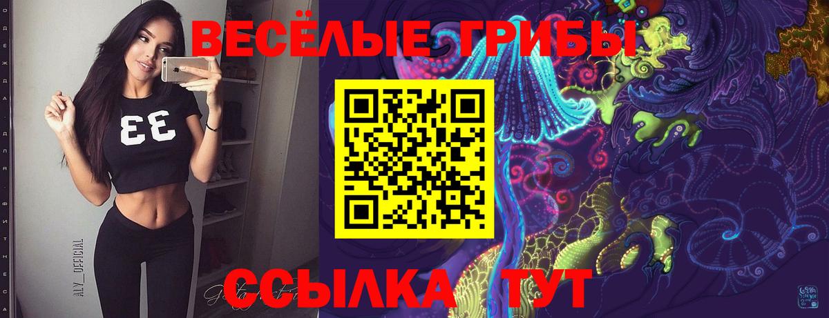 Галлюциногенные грибы прущие грибы  Вход с VPN  Асино 