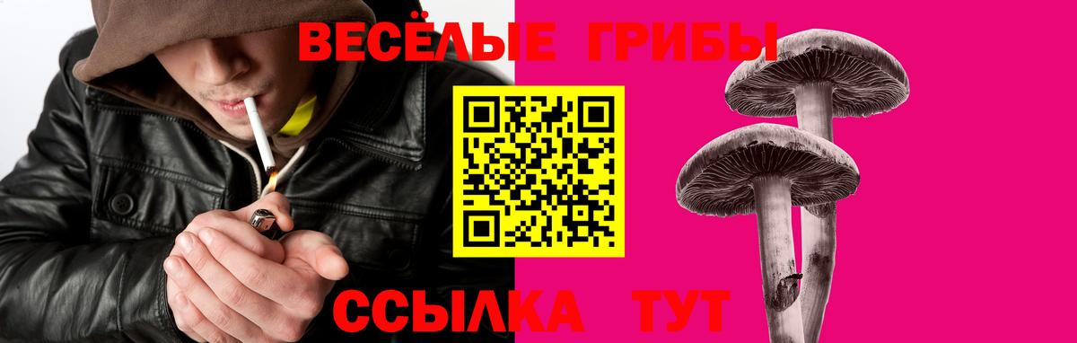 Псилоцибиновые грибы Magic Shrooms Асино